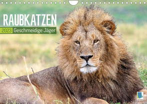 Raubkatzen: Geschmeidige Jäger (Wandkalender 2023 DIN A4 quer) von CALVENDO