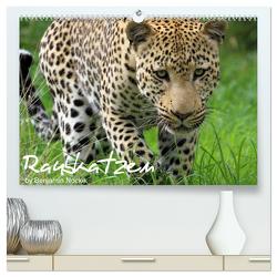 Raubkatzen (hochwertiger Premium Wandkalender 2024 DIN A2 quer), Kunstdruck in Hochglanz von Nocke,  Benjamin