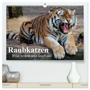 Raubkatzen. Wild, schön und kraftvoll (hochwertiger Premium Wandkalender 2024 DIN A2 quer), Kunstdruck in Hochglanz von Stanzer,  Elisabeth