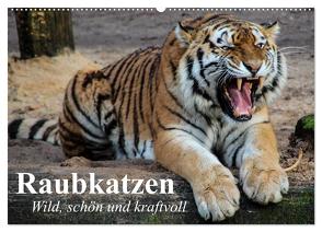 Raubkatzen. Wild, schön und kraftvoll (Wandkalender 2024 DIN A2 quer), CALVENDO Monatskalender von Stanzer,  Elisabeth