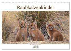 Raubkatzenkinder (Wandkalender 2024 DIN A3 quer), CALVENDO Monatskalender von Vollborn,  Marion