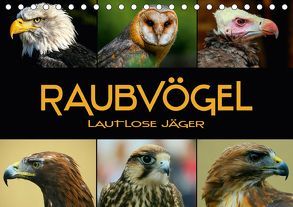 Raubvögel – lautlose Jäger (Tischkalender 2018 DIN A5 quer) von Bleicher,  Renate