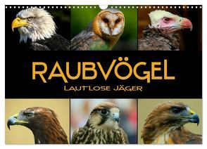 Raubvögel – lautlose Jäger (Wandkalender 2024 DIN A3 quer), CALVENDO Monatskalender von Bleicher,  Renate