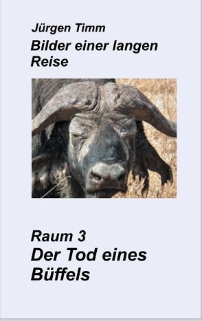 Raum 3 Der Tod eines Büffels von Timm,  Jürgen