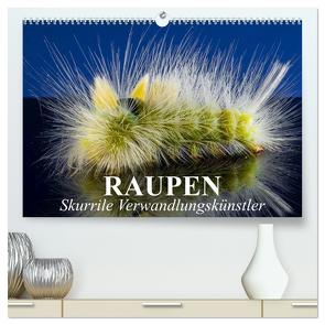 Raupen – Skurrile Verwandlungskünstler (hochwertiger Premium Wandkalender 2024 DIN A2 quer), Kunstdruck in Hochglanz von Stanzer,  Elisabeth