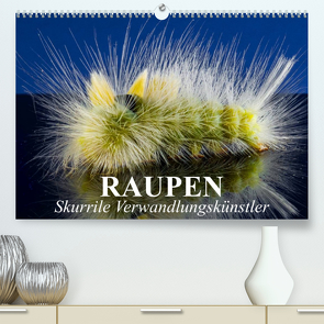 Raupen – Skurrile Verwandlungskünstler (Premium, hochwertiger DIN A2 Wandkalender 2023, Kunstdruck in Hochglanz) von Stanzer,  Elisabeth