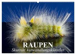 Raupen – Skurrile Verwandlungskünstler (Wandkalender 2024 DIN A2 quer), CALVENDO Monatskalender von Stanzer,  Elisabeth