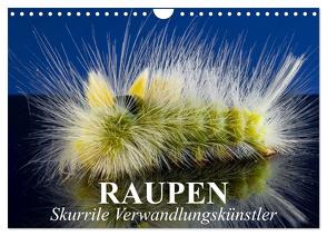 Raupen – Skurrile Verwandlungskünstler (Wandkalender 2024 DIN A4 quer), CALVENDO Monatskalender von Stanzer,  Elisabeth