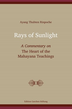 Rays of Sunlight von Staron,  Gabriele, Thubten Rinpoche,  Ayang