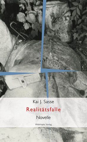 Realitätsfalle von Sasse,  Kai J., Schmidt,  Michael, Schröder,  Peer
