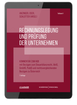 Rechnungslegung und Prüfung der Unternehmen von Anzinger,  Heribert M., Oser,  Peter, Schlotter,  Carsten