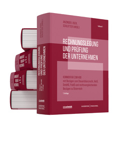 Rechnungslegung und Prüfung der Unternehmen (Gesamtausgabe) von Anzinger,  Heribert M., Oser,  Peter, Schlotter,  Carsten