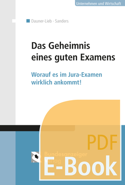 Recht Aktiv – Erfolgreich durch das Examen (E-Book) von Dauner-Lieb,  Barbara, Sanders,  Anne