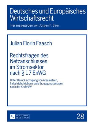 Rechtsfragen des Netzanschlusses im Stromsektor nach § 17 EnWG von Faasch,  Julian