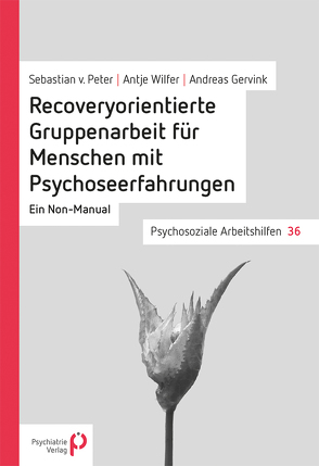 Recoveryorientierte Gruppenarbeit für Menschen mit Psychoseerfahrungen von Gervink,  Andreas, von Peter,  Sebastian, Wilfer,  Antje