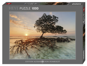 Red Mangrove Puzzle