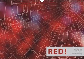 RED! (Wandkalender 2019 DIN A3 quer) von Herzog,  Thomas, www.bild-erzaehler.com