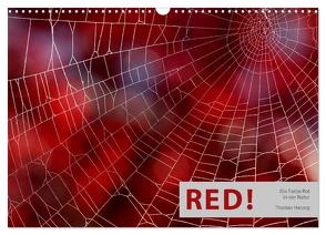 RED! (Wandkalender 2024 DIN A3 quer), CALVENDO Monatskalender von Herzog,  www.bild-erzaehler.com,  Thomas