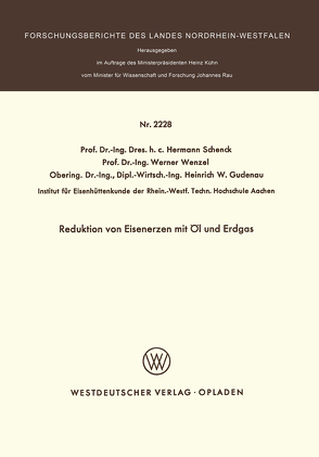 Reduktion von Eisenerzen mit Öl und Erdgas von Schenck,  Hermann