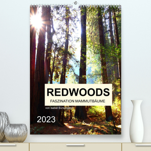 Redwoods – Faszination Mammutbäume (Premium, hochwertiger DIN A2 Wandkalender 2023, Kunstdruck in Hochglanz) von Bürschgens,  Isabel