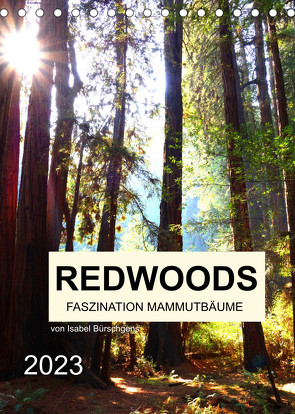 Redwoods – Faszination Mammutbäume (Tischkalender 2023 DIN A5 hoch) von Bürschgens,  Isabel