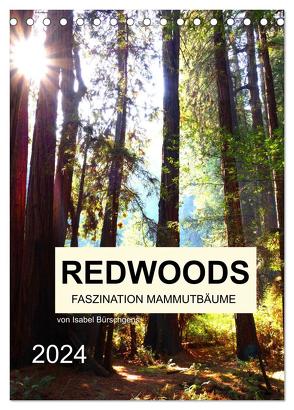 Redwoods – Faszination Mammutbäume (Tischkalender 2024 DIN A5 hoch), CALVENDO Monatskalender von Bürschgens,  Isabel