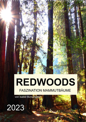 Redwoods – Faszination Mammutbäume (Wandkalender 2023 DIN A2 hoch) von Bürschgens,  Isabel