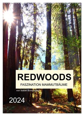 Redwoods – Faszination Mammutbäume (Wandkalender 2024 DIN A2 hoch), CALVENDO Monatskalender von Bürschgens,  Isabel