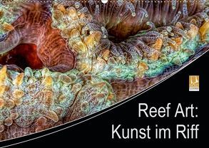 Reef Art – Kunst im Riff (Wandkalender 2019 DIN A2 quer) von Jager,  Henry