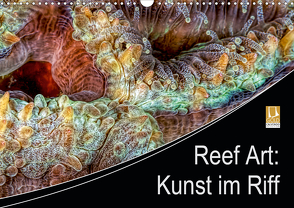 Reef Art – Kunst im Riff (Wandkalender 2021 DIN A3 quer) von Jager,  Henry