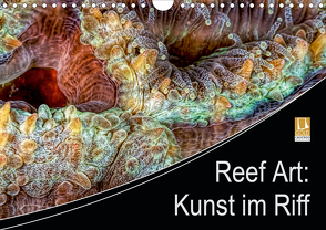 Reef Art – Kunst im Riff (Wandkalender 2021 DIN A4 quer) von Jager,  Henry