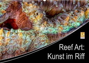 Reef Art – Kunst im Riff (Wandkalender 2023 DIN A2 quer) von Jager,  Henry