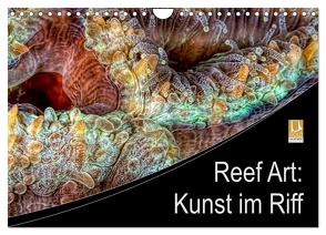 Reef Art – Kunst im Riff (Wandkalender 2024 DIN A4 quer), CALVENDO Monatskalender von Jager,  Henry