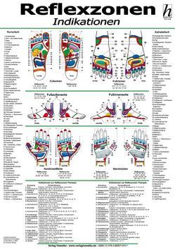 Reflexzonen-Therapie Mini-Poster – Indikationen DIN A4 von Hawelka Verlag,  Hawelka