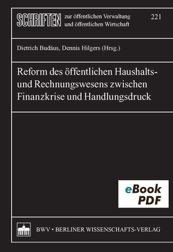 Reform des öffentlichen Haushalts- und Rechnungswesens zwischen Finanzkrise und Handlungsdruck von Budäus,  Dietrich, Hilgers,  Dennis