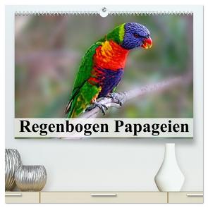 Regenbogen Papageien (hochwertiger Premium Wandkalender 2024 DIN A2 quer), Kunstdruck in Hochglanz von Stanzer,  Elisabeth