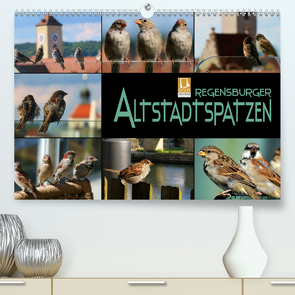 Regensburger Altstadtspatzen (Premium, hochwertiger DIN A2 Wandkalender 2021, Kunstdruck in Hochglanz) von Bleicher,  Renate