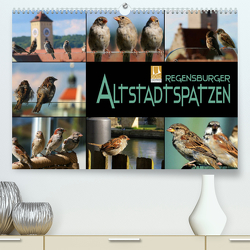 Regensburger Altstadtspatzen (Premium, hochwertiger DIN A2 Wandkalender 2022, Kunstdruck in Hochglanz) von Bleicher,  Renate