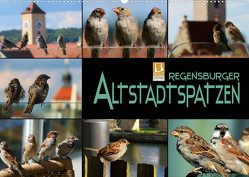 Regensburger Altstadtspatzen (Wandkalender 2022 DIN A2 quer) von Bleicher,  Renate