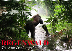 Regenwald • Tiere im Dschungel (Wandkalender 2023 DIN A2 quer) von Stanzer,  Elisabeth