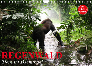Regenwald. Tiere im Dschungel (Wandkalender 2022 DIN A4 quer) von Stanzer,  Elisabeth