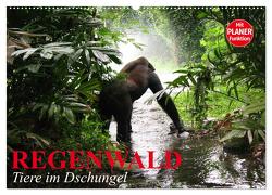 Regenwald. Tiere im Dschungel (Wandkalender 2024 DIN A2 quer), CALVENDO Monatskalender von Stanzer,  Elisabeth