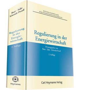 Regulierung in der Energiewirtschaft von Baur,  Jürgen F, Salje,  Peter, Schmidt-Preuß,  Matthias