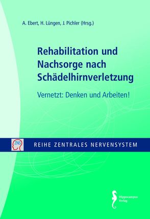 Rehabilitation und Nachsorge nach Schädelhirnverletzung von Ebert,  Achim, Lüngen,  Helga, Pichler,  Johannes