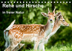 Rehe und Hirsche in freier Natur (Tischkalender 2023 DIN A5 quer) von Photography,  Photoga, Wernicke-Marfo,  Gabriela
