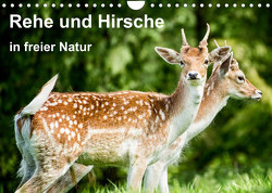 Rehe und Hirsche in freier Natur (Wandkalender 2023 DIN A4 quer) von Photography,  Photoga, Wernicke-Marfo,  Gabriela