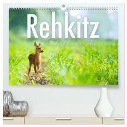 Rehkitz – Flinke kleine Bambis. (hochwertiger Premium Wandkalender 2024 DIN A2 quer), Kunstdruck in Hochglanz von SF,  SF