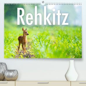 Rehkitz – Flinke kleine Bambis. (Premium, hochwertiger DIN A2 Wandkalender 2023, Kunstdruck in Hochglanz) von SF