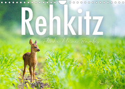 Rehkitz – Flinke kleine Bambis. (Wandkalender 2023 DIN A4 quer) von SF