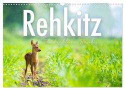 Rehkitz – Flinke kleine Bambis. (Wandkalender 2024 DIN A3 quer), CALVENDO Monatskalender von SF,  SF